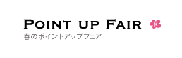 Point Up Fair
